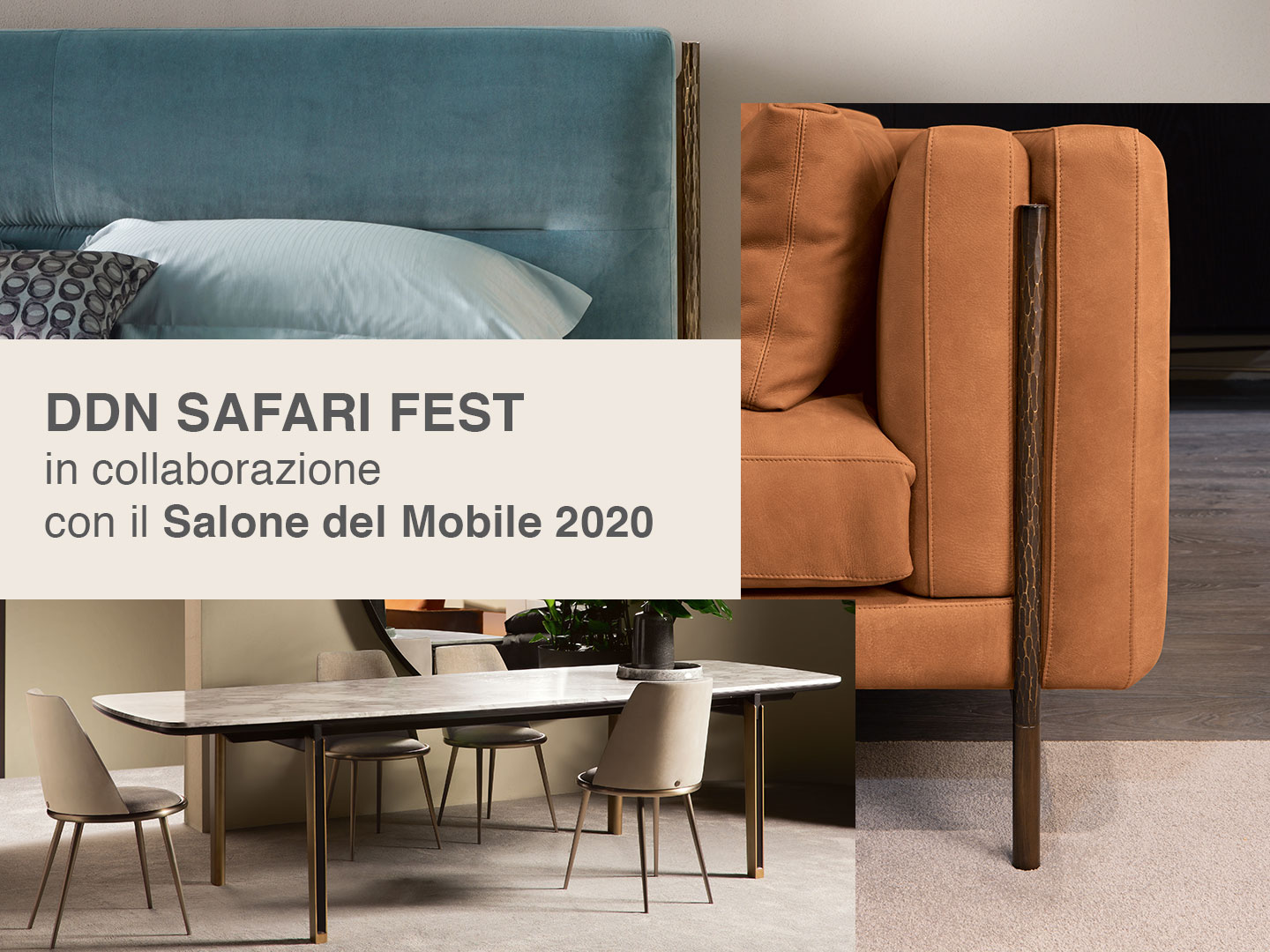 Cantori for the DDN Safari Fest 2020 - Cantori