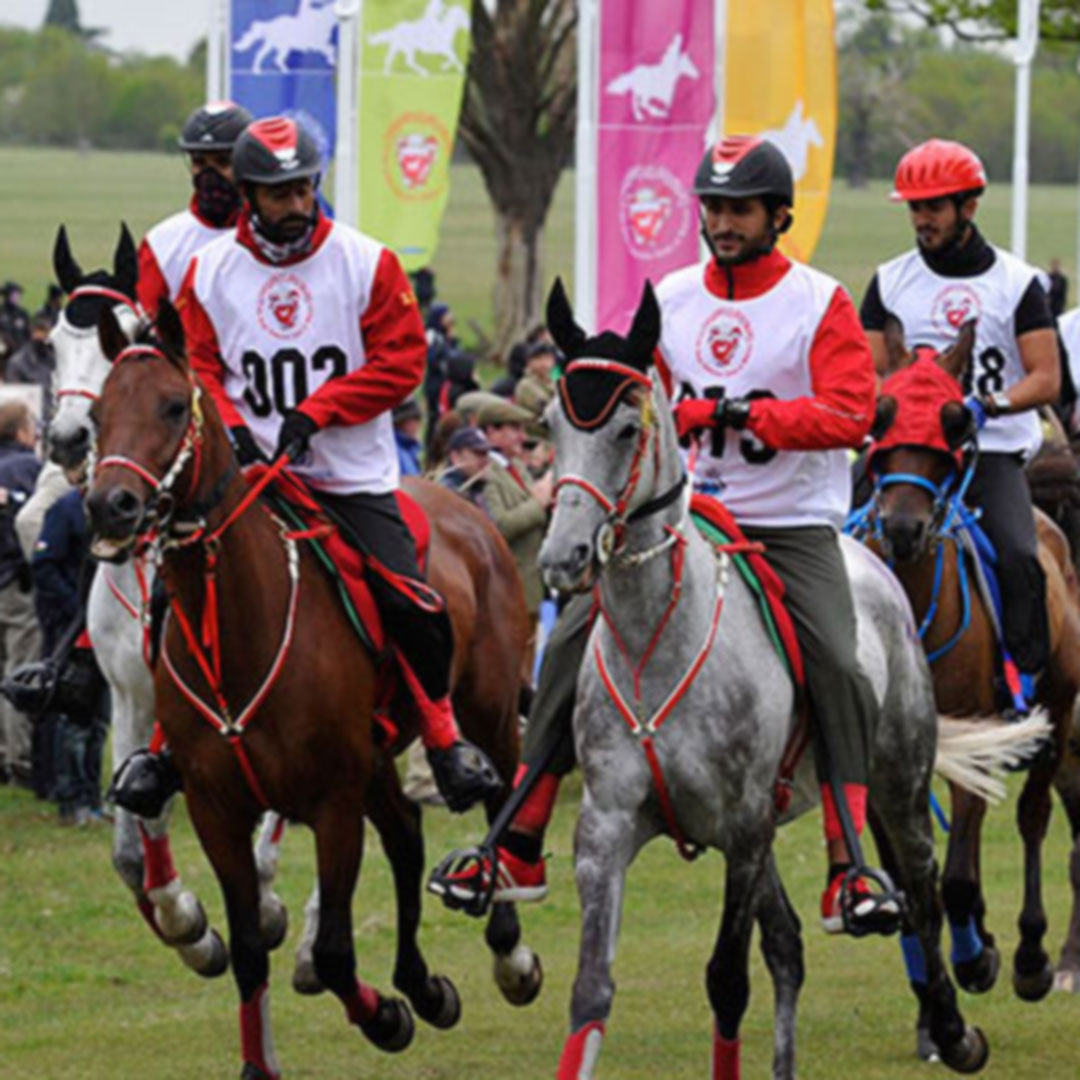 14/05/2014 Cantori allestisce Endurance al Royal Windsor Horse Show - Cantori