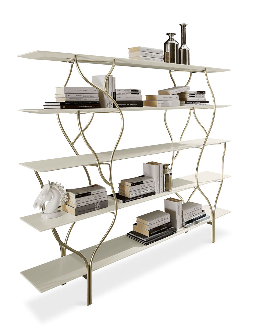 Bookcases, architectures of knowledge - Cantori